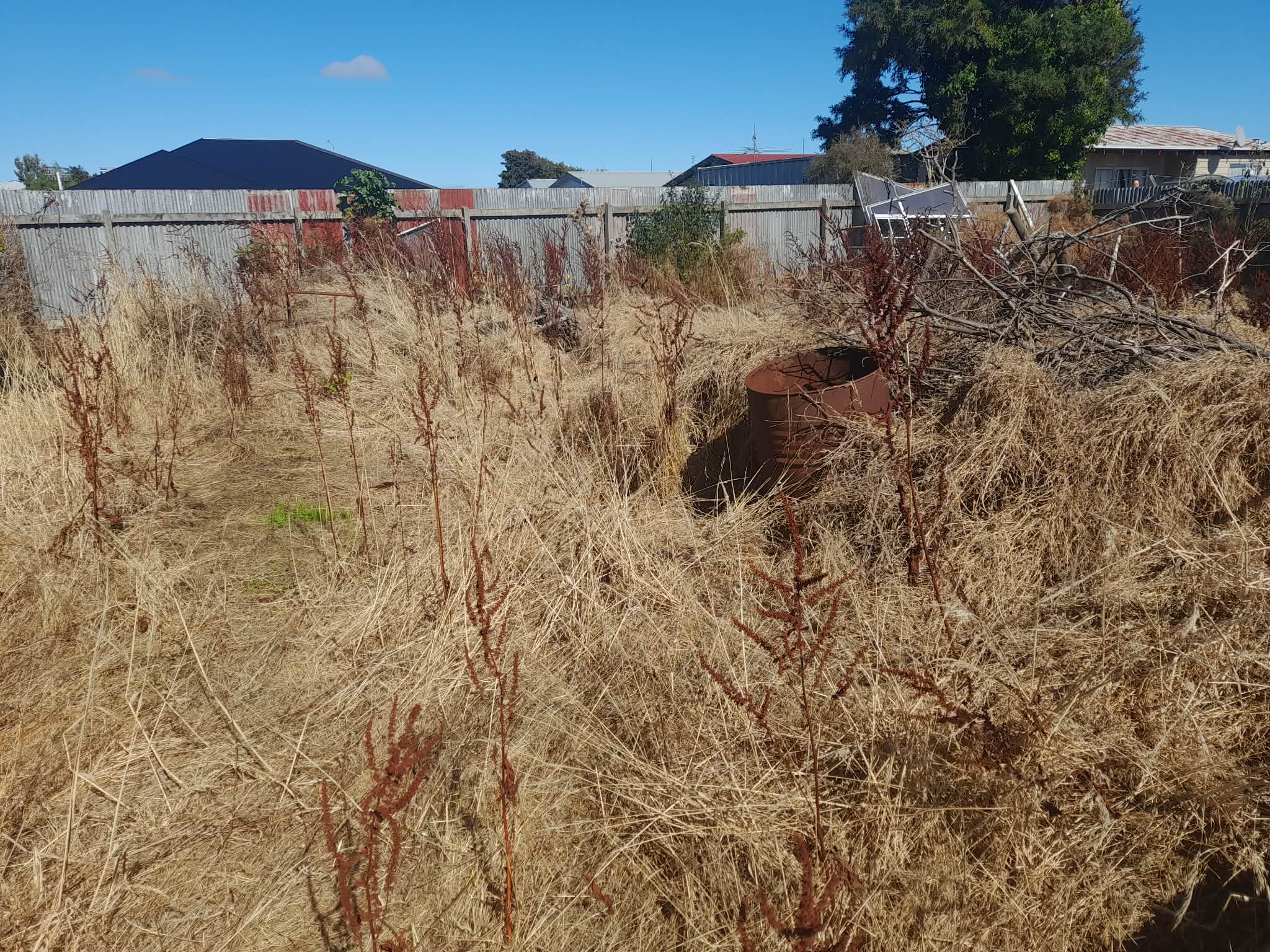 Before stump grinding work